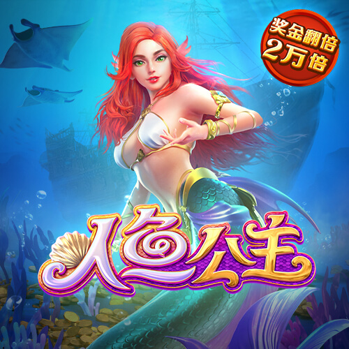 打开澳门资料网站49图库